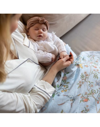 Mussola Primavera Azzurra Mussole e Bavette