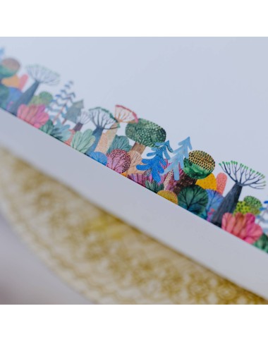 Scatola regalo la favola Tutina